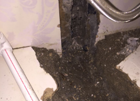 金山屯卫生间测漏水哪家好